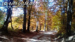 [P16] Inapoi, spre Brasov » foto by dorgo
 - 
<span class="allrVoted glyphicon glyphicon-heart hidden" id="av1047655"></span>
<a class="m-l-10 hidden" id="sv1047655" onclick="voting_Foto_DelVot(,1047655,2622)" role="button">șterge vot <span class="glyphicon glyphicon-remove"></span></a>
<a id="v91047655" class=" c-red"  onclick="voting_Foto_SetVot(1047655)" role="button"><span class="glyphicon glyphicon-heart-empty"></span> <b>LIKE</b> = Votează poza</a> <img class="hidden"  id="f1047655W9" src="/imagini/loader.gif" border="0" /><span class="AjErrMes hidden" id="e1047655ErM"></span>