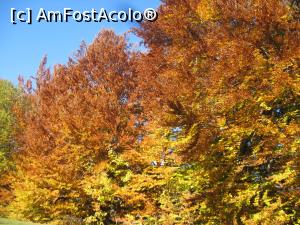 [P17] Inapoi, spre Brasov » foto by dorgo
 - 
<span class="allrVoted glyphicon glyphicon-heart hidden" id="av1047656"></span>
<a class="m-l-10 hidden" id="sv1047656" onclick="voting_Foto_DelVot(,1047656,2622)" role="button">șterge vot <span class="glyphicon glyphicon-remove"></span></a>
<a id="v91047656" class=" c-red"  onclick="voting_Foto_SetVot(1047656)" role="button"><span class="glyphicon glyphicon-heart-empty"></span> <b>LIKE</b> = Votează poza</a> <img class="hidden"  id="f1047656W9" src="/imagini/loader.gif" border="0" /><span class="AjErrMes hidden" id="e1047656ErM"></span>