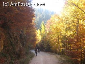 [P18] Coboram, tot prin padure » foto by dorgo
 - 
<span class="allrVoted glyphicon glyphicon-heart hidden" id="av1047657"></span>
<a class="m-l-10 hidden" id="sv1047657" onclick="voting_Foto_DelVot(,1047657,2622)" role="button">șterge vot <span class="glyphicon glyphicon-remove"></span></a>
<a id="v91047657" class=" c-red"  onclick="voting_Foto_SetVot(1047657)" role="button"><span class="glyphicon glyphicon-heart-empty"></span> <b>LIKE</b> = Votează poza</a> <img class="hidden"  id="f1047657W9" src="/imagini/loader.gif" border="0" /><span class="AjErrMes hidden" id="e1047657ErM"></span>
