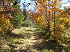 [P22] O carare ce te poarta spre nicaieri » foto by dorgo
 - 
<span class="allrVoted glyphicon glyphicon-heart hidden" id="av1047661"></span>
<a class="m-l-10 hidden" id="sv1047661" onclick="voting_Foto_DelVot(,1047661,2622)" role="button">șterge vot <span class="glyphicon glyphicon-remove"></span></a>
<a id="v91047661" class=" c-red"  onclick="voting_Foto_SetVot(1047661)" role="button"><span class="glyphicon glyphicon-heart-empty"></span> <b>LIKE</b> = Votează poza</a> <img class="hidden"  id="f1047661W9" src="/imagini/loader.gif" border="0" /><span class="AjErrMes hidden" id="e1047661ErM"></span>