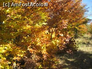 [P23] Peisaj de octombrie » foto by dorgo
 - 
<span class="allrVoted glyphicon glyphicon-heart hidden" id="av1047662"></span>
<a class="m-l-10 hidden" id="sv1047662" onclick="voting_Foto_DelVot(,1047662,2622)" role="button">șterge vot <span class="glyphicon glyphicon-remove"></span></a>
<a id="v91047662" class=" c-red"  onclick="voting_Foto_SetVot(1047662)" role="button"><span class="glyphicon glyphicon-heart-empty"></span> <b>LIKE</b> = Votează poza</a> <img class="hidden"  id="f1047662W9" src="/imagini/loader.gif" border="0" /><span class="AjErrMes hidden" id="e1047662ErM"></span>