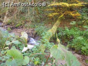 [P03] Verdele e-nlocuit treptat de galben-oranjul ce moare si el cand va apare albul rece si imaculat.  » foto by dorgo
 - 
<span class="allrVoted glyphicon glyphicon-heart hidden" id="av1047642"></span>
<a class="m-l-10 hidden" id="sv1047642" onclick="voting_Foto_DelVot(,1047642,2622)" role="button">șterge vot <span class="glyphicon glyphicon-remove"></span></a>
<a id="v91047642" class=" c-red"  onclick="voting_Foto_SetVot(1047642)" role="button"><span class="glyphicon glyphicon-heart-empty"></span> <b>LIKE</b> = Votează poza</a> <img class="hidden"  id="f1047642W9" src="/imagini/loader.gif" border="0" /><span class="AjErrMes hidden" id="e1047642ErM"></span>