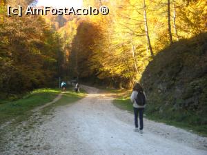 [P04] Pornim spre Poiana, pe vechiul drum, prin padure » foto by dorgo
 - 
<span class="allrVoted glyphicon glyphicon-heart hidden" id="av1047643"></span>
<a class="m-l-10 hidden" id="sv1047643" onclick="voting_Foto_DelVot(,1047643,2622)" role="button">șterge vot <span class="glyphicon glyphicon-remove"></span></a>
<a id="v91047643" class=" c-red"  onclick="voting_Foto_SetVot(1047643)" role="button"><span class="glyphicon glyphicon-heart-empty"></span> <b>LIKE</b> = Votează poza</a> <img class="hidden"  id="f1047643W9" src="/imagini/loader.gif" border="0" /><span class="AjErrMes hidden" id="e1047643ErM"></span>