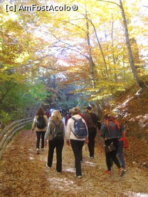 [P05] Drumul e aglomerat, pe sosea e raliu auto » foto by dorgo
 - 
<span class="allrVoted glyphicon glyphicon-heart hidden" id="av1047644"></span>
<a class="m-l-10 hidden" id="sv1047644" onclick="voting_Foto_DelVot(,1047644,2622)" role="button">șterge vot <span class="glyphicon glyphicon-remove"></span></a>
<a id="v91047644" class=" c-red"  onclick="voting_Foto_SetVot(1047644)" role="button"><span class="glyphicon glyphicon-heart-empty"></span> <b>LIKE</b> = Votează poza</a> <img class="hidden"  id="f1047644W9" src="/imagini/loader.gif" border="0" /><span class="AjErrMes hidden" id="e1047644ErM"></span>