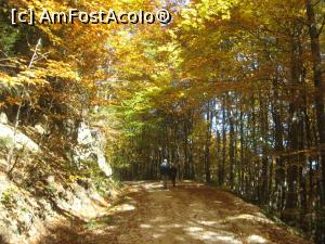 [P06] Ajungem tot mai sus, mergand 'pe jos'!  » foto by dorgo
 - 
<span class="allrVoted glyphicon glyphicon-heart hidden" id="av1047645"></span>
<a class="m-l-10 hidden" id="sv1047645" onclick="voting_Foto_DelVot(,1047645,2622)" role="button">șterge vot <span class="glyphicon glyphicon-remove"></span></a>
<a id="v91047645" class=" c-red"  onclick="voting_Foto_SetVot(1047645)" role="button"><span class="glyphicon glyphicon-heart-empty"></span> <b>LIKE</b> = Votează poza</a> <img class="hidden"  id="f1047645W9" src="/imagini/loader.gif" border="0" /><span class="AjErrMes hidden" id="e1047645ErM"></span>