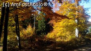 [P07] Culorile toamnei » foto by dorgo
 - 
<span class="allrVoted glyphicon glyphicon-heart hidden" id="av1047646"></span>
<a class="m-l-10 hidden" id="sv1047646" onclick="voting_Foto_DelVot(,1047646,2622)" role="button">șterge vot <span class="glyphicon glyphicon-remove"></span></a>
<a id="v91047646" class=" c-red"  onclick="voting_Foto_SetVot(1047646)" role="button"><span class="glyphicon glyphicon-heart-empty"></span> <b>LIKE</b> = Votează poza</a> <img class="hidden"  id="f1047646W9" src="/imagini/loader.gif" border="0" /><span class="AjErrMes hidden" id="e1047646ErM"></span>