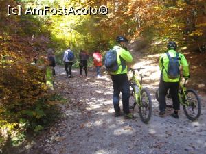 [P08] Suntem insotiti de multi tineri 'mountain-bike'-isti » foto by dorgo
 - 
<span class="allrVoted glyphicon glyphicon-heart hidden" id="av1047647"></span>
<a class="m-l-10 hidden" id="sv1047647" onclick="voting_Foto_DelVot(,1047647,2622)" role="button">șterge vot <span class="glyphicon glyphicon-remove"></span></a>
<a id="v91047647" class=" c-red"  onclick="voting_Foto_SetVot(1047647)" role="button"><span class="glyphicon glyphicon-heart-empty"></span> <b>LIKE</b> = Votează poza</a> <img class="hidden"  id="f1047647W9" src="/imagini/loader.gif" border="0" /><span class="AjErrMes hidden" id="e1047647ErM"></span>