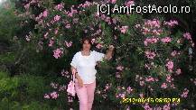 [P05]  -- <small>// FĂRĂ DESCRIERE</small> » foto by adryana
 - 
<span class="allrVoted glyphicon glyphicon-heart hidden" id="av84955"></span>
<a class="m-l-10 hidden" id="sv84955" onclick="voting_Foto_DelVot(,84955,2627)" role="button">șterge vot <span class="glyphicon glyphicon-remove"></span></a>
<a id="v984955" class=" c-red"  onclick="voting_Foto_SetVot(84955)" role="button"><span class="glyphicon glyphicon-heart-empty"></span> <b>LIKE</b> = Votează poza</a> <img class="hidden"  id="f84955W9" src="/imagini/loader.gif" border="0" /><span class="AjErrMes hidden" id="e84955ErM"></span>