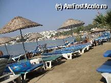 [P03] Plaja din fata hotelului » foto by Dabator
 - 
<span class="allrVoted glyphicon glyphicon-heart hidden" id="av8659"></span>
<a class="m-l-10 hidden" id="sv8659" onclick="voting_Foto_DelVot(,8659,2642)" role="button">șterge vot <span class="glyphicon glyphicon-remove"></span></a>
<a id="v98659" class=" c-red"  onclick="voting_Foto_SetVot(8659)" role="button"><span class="glyphicon glyphicon-heart-empty"></span> <b>LIKE</b> = Votează poza</a> <img class="hidden"  id="f8659W9" src="/imagini/loader.gif" border="0" /><span class="AjErrMes hidden" id="e8659ErM"></span>