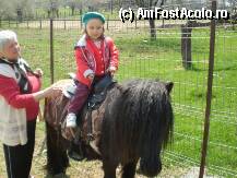 [P4x] A invatat sa calareasca imediat dupa ce a invatat sa mearga » foto by laborex
 - 
<span class="allrVoted glyphicon glyphicon-heart hidden" id="av8709"></span>
<a class="m-l-10 hidden" id="sv8709" onclick="voting_Foto_DelVot(,8709,2643)" role="button">șterge vot <span class="glyphicon glyphicon-remove"></span></a>
<a id="v98709" class=" c-red"  onclick="voting_Foto_SetVot(8709)" role="button"><span class="glyphicon glyphicon-heart-empty"></span> <b>LIKE</b> = Votează poza</a> <img class="hidden"  id="f8709W9" src="/imagini/loader.gif" border="0" /><span class="AjErrMes hidden" id="e8709ErM"></span>