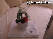 [P09] cosulet de flori » foto by banal
 - 
<span class="allrVoted glyphicon glyphicon-heart hidden" id="av336004"></span>
<a class="m-l-10 hidden" id="sv336004" onclick="voting_Foto_DelVot(,336004,2646)" role="button">șterge vot <span class="glyphicon glyphicon-remove"></span></a>
<a id="v9336004" class=" c-red"  onclick="voting_Foto_SetVot(336004)" role="button"><span class="glyphicon glyphicon-heart-empty"></span> <b>LIKE</b> = Votează poza</a> <img class="hidden"  id="f336004W9" src="/imagini/loader.gif" border="0" /><span class="AjErrMes hidden" id="e336004ErM"></span>