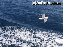 [P05] croaziera la muntele Athos » foto by Pandora28*
 - 
<span class="allrVoted glyphicon glyphicon-heart hidden" id="av246319"></span>
<a class="m-l-10 hidden" id="sv246319" onclick="voting_Foto_DelVot(,246319,2667)" role="button">șterge vot <span class="glyphicon glyphicon-remove"></span></a>
<a id="v9246319" class=" c-red"  onclick="voting_Foto_SetVot(246319)" role="button"><span class="glyphicon glyphicon-heart-empty"></span> <b>LIKE</b> = Votează poza</a> <img class="hidden"  id="f246319W9" src="/imagini/loader.gif" border="0" /><span class="AjErrMes hidden" id="e246319ErM"></span>