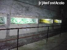[P14] ceva din putinele lucruri din interiorul salinei » foto by bogdan 75
 - 
<span class="allrVoted glyphicon glyphicon-heart hidden" id="av128216"></span>
<a class="m-l-10 hidden" id="sv128216" onclick="voting_Foto_DelVot(,128216,2677)" role="button">șterge vot <span class="glyphicon glyphicon-remove"></span></a>
<a id="v9128216" class=" c-red"  onclick="voting_Foto_SetVot(128216)" role="button"><span class="glyphicon glyphicon-heart-empty"></span> <b>LIKE</b> = Votează poza</a> <img class="hidden"  id="f128216W9" src="/imagini/loader.gif" border="0" /><span class="AjErrMes hidden" id="e128216ErM"></span>