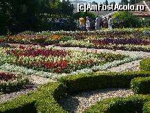 [P05] gradina botanica Balcik » foto by Aarriinnaa
 - 
<span class="allrVoted glyphicon glyphicon-heart hidden" id="av108804"></span>
<a class="m-l-10 hidden" id="sv108804" onclick="voting_Foto_DelVot(,108804,2682)" role="button">șterge vot <span class="glyphicon glyphicon-remove"></span></a>
<a id="v9108804" class=" c-red"  onclick="voting_Foto_SetVot(108804)" role="button"><span class="glyphicon glyphicon-heart-empty"></span> <b>LIKE</b> = Votează poza</a> <img class="hidden"  id="f108804W9" src="/imagini/loader.gif" border="0" /><span class="AjErrMes hidden" id="e108804ErM"></span>