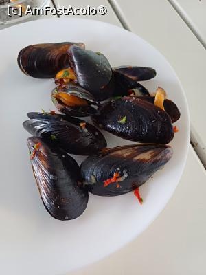 [P04] Prânz delicios: scoici în sos de vin! » foto by nelyzamacau
 - 
<span class="allrVoted glyphicon glyphicon-heart hidden" id="av1493904"></span>
<a class="m-l-10 hidden" id="sv1493904" onclick="voting_Foto_DelVot(,1493904,2690)" role="button">șterge vot <span class="glyphicon glyphicon-remove"></span></a>
<a id="v91493904" class=" c-red"  onclick="voting_Foto_SetVot(1493904)" role="button"><span class="glyphicon glyphicon-heart-empty"></span> <b>LIKE</b> = Votează poza</a> <img class="hidden"  id="f1493904W9" src="/imagini/loader.gif" border="0" /><span class="AjErrMes hidden" id="e1493904ErM"></span>
