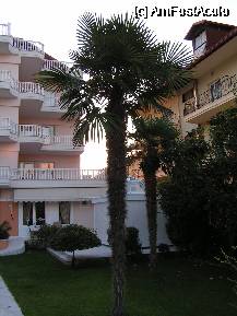[P07] Unele hoteluri mai bune au si curte frumos decorata » foto by ionescunic
 - 
<span class="allrVoted glyphicon glyphicon-heart hidden" id="av59064"></span>
<a class="m-l-10 hidden" id="sv59064" onclick="voting_Foto_DelVot(,59064,2696)" role="button">șterge vot <span class="glyphicon glyphicon-remove"></span></a>
<a id="v959064" class=" c-red"  onclick="voting_Foto_SetVot(59064)" role="button"><span class="glyphicon glyphicon-heart-empty"></span> <b>LIKE</b> = Votează poza</a> <img class="hidden"  id="f59064W9" src="/imagini/loader.gif" border="0" /><span class="AjErrMes hidden" id="e59064ErM"></span>