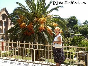 [P50] un palmier in Salonic » foto by FLOREA ADRIAN
 - 
<span class="allrVoted glyphicon glyphicon-heart hidden" id="av610111"></span>
<a class="m-l-10 hidden" id="sv610111" onclick="voting_Foto_DelVot(,610111,2696)" role="button">șterge vot <span class="glyphicon glyphicon-remove"></span></a>
<a id="v9610111" class=" c-red"  onclick="voting_Foto_SetVot(610111)" role="button"><span class="glyphicon glyphicon-heart-empty"></span> <b>LIKE</b> = Votează poza</a> <img class="hidden"  id="f610111W9" src="/imagini/loader.gif" border="0" /><span class="AjErrMes hidden" id="e610111ErM"></span>