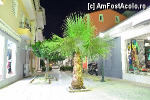 [P15] Orasul Zante pe timp de noapte. Fotografie cuexpunere mare.  » foto by Vlahos2003
 - 
<span class="allrVoted glyphicon glyphicon-heart hidden" id="av434846"></span>
<a class="m-l-10 hidden" id="sv434846" onclick="voting_Foto_DelVot(,434846,2710)" role="button">șterge vot <span class="glyphicon glyphicon-remove"></span></a>
<a id="v9434846" class=" c-red"  onclick="voting_Foto_SetVot(434846)" role="button"><span class="glyphicon glyphicon-heart-empty"></span> <b>LIKE</b> = Votează poza</a> <img class="hidden"  id="f434846W9" src="/imagini/loader.gif" border="0" /><span class="AjErrMes hidden" id="e434846ErM"></span>
