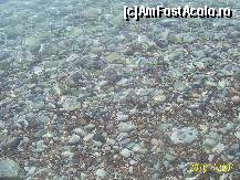 [P03] apa marii foarte curata aici iti da posibilitatea de vedea lumea subacvatica » foto by petrus95
 - 
<span class="allrVoted glyphicon glyphicon-heart hidden" id="av125214"></span>
<a class="m-l-10 hidden" id="sv125214" onclick="voting_Foto_DelVot(,125214,2752)" role="button">șterge vot <span class="glyphicon glyphicon-remove"></span></a>
<a id="v9125214" class=" c-red"  onclick="voting_Foto_SetVot(125214)" role="button"><span class="glyphicon glyphicon-heart-empty"></span> <b>LIKE</b> = Votează poza</a> <img class="hidden"  id="f125214W9" src="/imagini/loader.gif" border="0" /><span class="AjErrMes hidden" id="e125214ErM"></span>