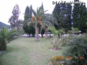 [P77] parc in Budva » foto by zlatna
 - 
<span class="allrVoted glyphicon glyphicon-heart hidden" id="av683787"></span>
<a class="m-l-10 hidden" id="sv683787" onclick="voting_Foto_DelVot(,683787,2752)" role="button">șterge vot <span class="glyphicon glyphicon-remove"></span></a>
<a id="v9683787" class=" c-red"  onclick="voting_Foto_SetVot(683787)" role="button"><span class="glyphicon glyphicon-heart-empty"></span> <b>LIKE</b> = Votează poza</a> <img class="hidden"  id="f683787W9" src="/imagini/loader.gif" border="0" /><span class="AjErrMes hidden" id="e683787ErM"></span>