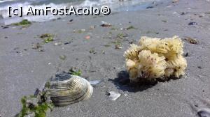 [P13]  -- <small>// FĂRĂ DESCRIERE</small> » foto by Rofri
 - 
<span class="allrVoted glyphicon glyphicon-heart hidden" id="av990530"></span>
<a class="m-l-10 hidden" id="sv990530" onclick="voting_Foto_DelVot(,990530,2755)" role="button">șterge vot <span class="glyphicon glyphicon-remove"></span></a>
<a id="v9990530" class=" c-red"  onclick="voting_Foto_SetVot(990530)" role="button"><span class="glyphicon glyphicon-heart-empty"></span> <b>LIKE</b> = Votează poza</a> <img class="hidden"  id="f990530W9" src="/imagini/loader.gif" border="0" /><span class="AjErrMes hidden" id="e990530ErM"></span>