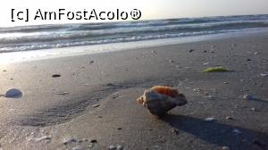 [P16]  -- <small>// FĂRĂ DESCRIERE</small> » foto by Rofri
 - 
<span class="allrVoted glyphicon glyphicon-heart hidden" id="av990533"></span>
<a class="m-l-10 hidden" id="sv990533" onclick="voting_Foto_DelVot(,990533,2755)" role="button">șterge vot <span class="glyphicon glyphicon-remove"></span></a>
<a id="v9990533" class=" c-red"  onclick="voting_Foto_SetVot(990533)" role="button"><span class="glyphicon glyphicon-heart-empty"></span> <b>LIKE</b> = Votează poza</a> <img class="hidden"  id="f990533W9" src="/imagini/loader.gif" border="0" /><span class="AjErrMes hidden" id="e990533ErM"></span>