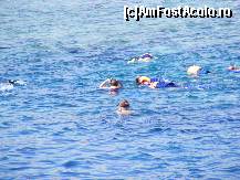 [P05] Snorkeling » foto by deea36
 - 
<span class="allrVoted glyphicon glyphicon-heart hidden" id="av184739"></span>
<a class="m-l-10 hidden" id="sv184739" onclick="voting_Foto_DelVot(,184739,2766)" role="button">șterge vot <span class="glyphicon glyphicon-remove"></span></a>
<a id="v9184739" class=" c-red"  onclick="voting_Foto_SetVot(184739)" role="button"><span class="glyphicon glyphicon-heart-empty"></span> <b>LIKE</b> = Votează poza</a> <img class="hidden"  id="f184739W9" src="/imagini/loader.gif" border="0" /><span class="AjErrMes hidden" id="e184739ErM"></span>