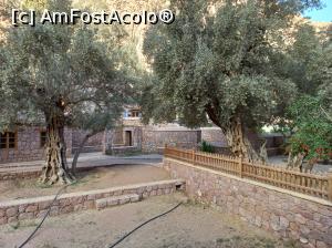 [P37] Am putut întra în curtea interioara dar era goala » foto by dawnsash
 - 
<span class="allrVoted glyphicon glyphicon-heart hidden" id="av1225530"></span>
<a class="m-l-10 hidden" id="sv1225530" onclick="voting_Foto_DelVot(,1225530,2768)" role="button">șterge vot <span class="glyphicon glyphicon-remove"></span></a>
<a id="v91225530" class=" c-red"  onclick="voting_Foto_SetVot(1225530)" role="button"><span class="glyphicon glyphicon-heart-empty"></span> <b>LIKE</b> = Votează poza</a> <img class="hidden"  id="f1225530W9" src="/imagini/loader.gif" border="0" /><span class="AjErrMes hidden" id="e1225530ErM"></span>