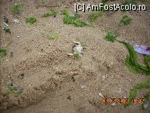 [P04]  -- <small>// FĂRĂ DESCRIERE</small> » foto by michaela
 - 
<span class="allrVoted glyphicon glyphicon-heart hidden" id="av93560"></span>
<a class="m-l-10 hidden" id="sv93560" onclick="voting_Foto_DelVot(,93560,2770)" role="button">șterge vot <span class="glyphicon glyphicon-remove"></span></a>
<a id="v993560" class=" c-red"  onclick="voting_Foto_SetVot(93560)" role="button"><span class="glyphicon glyphicon-heart-empty"></span> <b>LIKE</b> = Votează poza</a> <img class="hidden"  id="f93560W9" src="/imagini/loader.gif" border="0" /><span class="AjErrMes hidden" id="e93560ErM"></span>