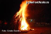 [P13] Festivalul Bujorului de Munte din Gura Raului - Sibiu » foto by cristinadumitru*
 - 
<span class="allrVoted glyphicon glyphicon-heart hidden" id="av21660"></span>
<a class="m-l-10 hidden" id="sv21660" onclick="voting_Foto_DelVot(,21660,2783)" role="button">șterge vot <span class="glyphicon glyphicon-remove"></span></a>
<a id="v921660" class=" c-red"  onclick="voting_Foto_SetVot(21660)" role="button"><span class="glyphicon glyphicon-heart-empty"></span> <b>LIKE</b> = Votează poza</a> <img class="hidden"  id="f21660W9" src="/imagini/loader.gif" border="0" /><span class="AjErrMes hidden" id="e21660ErM"></span>