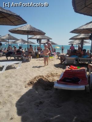 [P11] Plaja privata a complexului Dunarea » foto by tempesta55
 - 
<span class="allrVoted glyphicon glyphicon-heart hidden" id="av923503"></span>
<a class="m-l-10 hidden" id="sv923503" onclick="voting_Foto_DelVot(,923503,2785)" role="button">șterge vot <span class="glyphicon glyphicon-remove"></span></a>
<a id="v9923503" class=" c-red"  onclick="voting_Foto_SetVot(923503)" role="button"><span class="glyphicon glyphicon-heart-empty"></span> <b>LIKE</b> = Votează poza</a> <img class="hidden"  id="f923503W9" src="/imagini/loader.gif" border="0" /><span class="AjErrMes hidden" id="e923503ErM"></span>