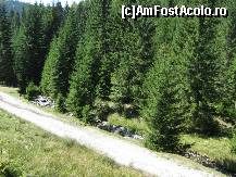 [P29] drum forestier prin Moeciu de Sus » foto by Delphinash
 - 
<span class="allrVoted glyphicon glyphicon-heart hidden" id="av20988"></span>
<a class="m-l-10 hidden" id="sv20988" onclick="voting_Foto_DelVot(,20988,2786)" role="button">șterge vot <span class="glyphicon glyphicon-remove"></span></a>
<a id="v920988" class=" c-red"  onclick="voting_Foto_SetVot(20988)" role="button"><span class="glyphicon glyphicon-heart-empty"></span> <b>LIKE</b> = Votează poza</a> <img class="hidden"  id="f20988W9" src="/imagini/loader.gif" border="0" /><span class="AjErrMes hidden" id="e20988ErM"></span>