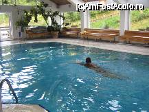 [P05] piscina » foto by Delphinash
 - 
<span class="allrVoted glyphicon glyphicon-heart hidden" id="av20961"></span>
<a class="m-l-10 hidden" id="sv20961" onclick="voting_Foto_DelVot(,20961,2786)" role="button">șterge vot <span class="glyphicon glyphicon-remove"></span></a>
<a id="v920961" class=" c-red"  onclick="voting_Foto_SetVot(20961)" role="button"><span class="glyphicon glyphicon-heart-empty"></span> <b>LIKE</b> = Votează poza</a> <img class="hidden"  id="f20961W9" src="/imagini/loader.gif" border="0" /><span class="AjErrMes hidden" id="e20961ErM"></span>