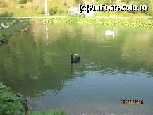 [P12]  -- <small>// FĂRĂ DESCRIERE</small> » foto by tntzonex
 - 
<span class="allrVoted glyphicon glyphicon-heart hidden" id="av117960"></span>
<a class="m-l-10 hidden" id="sv117960" onclick="voting_Foto_DelVot(,117960,2786)" role="button">șterge vot <span class="glyphicon glyphicon-remove"></span></a>
<a id="v9117960" class=" c-red"  onclick="voting_Foto_SetVot(117960)" role="button"><span class="glyphicon glyphicon-heart-empty"></span> <b>LIKE</b> = Votează poza</a> <img class="hidden"  id="f117960W9" src="/imagini/loader.gif" border="0" /><span class="AjErrMes hidden" id="e117960ErM"></span>