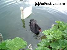 [P14]  -- <small>// FĂRĂ DESCRIERE</small> » foto by vtudor58
 - 
<span class="allrVoted glyphicon glyphicon-heart hidden" id="av78025"></span>
<a class="m-l-10 hidden" id="sv78025" onclick="voting_Foto_DelVot(,78025,2786)" role="button">șterge vot <span class="glyphicon glyphicon-remove"></span></a>
<a id="v978025" class=" c-red"  onclick="voting_Foto_SetVot(78025)" role="button"><span class="glyphicon glyphicon-heart-empty"></span> <b>LIKE</b> = Votează poza</a> <img class="hidden"  id="f78025W9" src="/imagini/loader.gif" border="0" /><span class="AjErrMes hidden" id="e78025ErM"></span>