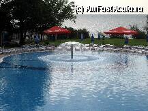 [P03] piscina pentru copii » foto by alina filip
 - 
<span class="allrVoted glyphicon glyphicon-heart hidden" id="av11129"></span>
<a class="m-l-10 hidden" id="sv11129" onclick="voting_Foto_DelVot(,11129,2833)" role="button">șterge vot <span class="glyphicon glyphicon-remove"></span></a>
<a id="v911129" class=" c-red"  onclick="voting_Foto_SetVot(11129)" role="button"><span class="glyphicon glyphicon-heart-empty"></span> <b>LIKE</b> = Votează poza</a> <img class="hidden"  id="f11129W9" src="/imagini/loader.gif" border="0" /><span class="AjErrMes hidden" id="e11129ErM"></span>