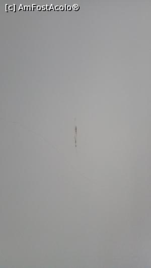 [P02] Perete crapat si murdar » foto by Alda
 - 
<span class="allrVoted glyphicon glyphicon-heart hidden" id="av892922"></span>
<a class="m-l-10 hidden" id="sv892922" onclick="voting_Foto_DelVot(,892922,2833)" role="button">șterge vot <span class="glyphicon glyphicon-remove"></span></a>
<a id="v9892922" class=" c-red"  onclick="voting_Foto_SetVot(892922)" role="button"><span class="glyphicon glyphicon-heart-empty"></span> <b>LIKE</b> = Votează poza</a> <img class="hidden"  id="f892922W9" src="/imagini/loader.gif" border="0" /><span class="AjErrMes hidden" id="e892922ErM"></span>