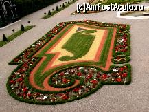 [P15] Aranjament floral in gradinile palatului Schonbrunn » foto by BOGDAN DSN
 - 
<span class="allrVoted glyphicon glyphicon-heart hidden" id="av398813"></span>
<a class="m-l-10 hidden" id="sv398813" onclick="voting_Foto_DelVot(,398813,2854)" role="button">șterge vot <span class="glyphicon glyphicon-remove"></span></a>
<a id="v9398813" class=" c-red"  onclick="voting_Foto_SetVot(398813)" role="button"><span class="glyphicon glyphicon-heart-empty"></span> <b>LIKE</b> = Votează poza</a> <img class="hidden"  id="f398813W9" src="/imagini/loader.gif" border="0" /><span class="AjErrMes hidden" id="e398813ErM"></span>