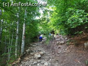 [P03] Poteca urcă abrupt de la început prin pădure. » foto by Floryn81
 - 
<span class="allrVoted glyphicon glyphicon-heart hidden" id="av1191828"></span>
<a class="m-l-10 hidden" id="sv1191828" onclick="voting_Foto_DelVot(,1191828,2855)" role="button">șterge vot <span class="glyphicon glyphicon-remove"></span></a>
<a id="v91191828" class=" c-red"  onclick="voting_Foto_SetVot(1191828)" role="button"><span class="glyphicon glyphicon-heart-empty"></span> <b>LIKE</b> = Votează poza</a> <img class="hidden"  id="f1191828W9" src="/imagini/loader.gif" border="0" /><span class="AjErrMes hidden" id="e1191828ErM"></span>
