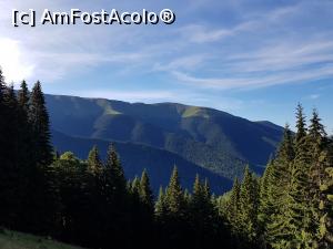 [P04] Am ieșit după o oră în golul alpin. Priveam peste umăr cu uimire! » foto by Floryn81
 - 
<span class="allrVoted glyphicon glyphicon-heart hidden" id="av1191829"></span>
<a class="m-l-10 hidden" id="sv1191829" onclick="voting_Foto_DelVot(,1191829,2855)" role="button">șterge vot <span class="glyphicon glyphicon-remove"></span></a>
<a id="v91191829" class=" c-red"  onclick="voting_Foto_SetVot(1191829)" role="button"><span class="glyphicon glyphicon-heart-empty"></span> <b>LIKE</b> = Votează poza</a> <img class="hidden"  id="f1191829W9" src="/imagini/loader.gif" border="0" /><span class="AjErrMes hidden" id="e1191829ErM"></span>