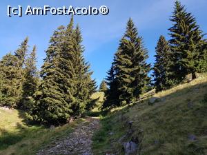 [P05] Tot mai sus, spre cota 2500+! Ieșeam în golul alpin. » foto by Floryn81
 - 
<span class="allrVoted glyphicon glyphicon-heart hidden" id="av1191830"></span>
<a class="m-l-10 hidden" id="sv1191830" onclick="voting_Foto_DelVot(,1191830,2855)" role="button">șterge vot <span class="glyphicon glyphicon-remove"></span></a>
<a id="v91191830" class=" c-red"  onclick="voting_Foto_SetVot(1191830)" role="button"><span class="glyphicon glyphicon-heart-empty"></span> <b>LIKE</b> = Votează poza</a> <img class="hidden"  id="f1191830W9" src="/imagini/loader.gif" border="0" /><span class="AjErrMes hidden" id="e1191830ErM"></span>