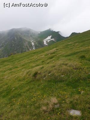 [P15] natura salbatică » foto by robert
 - 
<span class="allrVoted glyphicon glyphicon-heart hidden" id="av1174049"></span>
<a class="m-l-10 hidden" id="sv1174049" onclick="voting_Foto_DelVot(,1174049,2855)" role="button">șterge vot <span class="glyphicon glyphicon-remove"></span></a>
<a id="v91174049" class=" c-red"  onclick="voting_Foto_SetVot(1174049)" role="button"><span class="glyphicon glyphicon-heart-empty"></span> <b>LIKE</b> = Votează poza</a> <img class="hidden"  id="f1174049W9" src="/imagini/loader.gif" border="0" /><span class="AjErrMes hidden" id="e1174049ErM"></span>