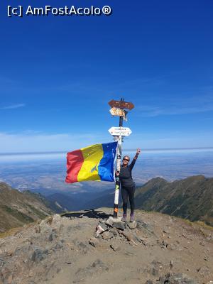 [P16] Vârful Viștea Mare » foto by robert
 - 
<span class="allrVoted glyphicon glyphicon-heart hidden" id="av1189968"></span>
<a class="m-l-10 hidden" id="sv1189968" onclick="voting_Foto_DelVot(,1189968,2855)" role="button">șterge vot <span class="glyphicon glyphicon-remove"></span></a>
<a id="v91189968" class=" c-red"  onclick="voting_Foto_SetVot(1189968)" role="button"><span class="glyphicon glyphicon-heart-empty"></span> <b>LIKE</b> = Votează poza</a> <img class="hidden"  id="f1189968W9" src="/imagini/loader.gif" border="0" /><span class="AjErrMes hidden" id="e1189968ErM"></span>