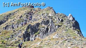 [P09] Vâful Moldoveanu, Traseu circuit: –spre Vf. Viștea Mare, 2527m, al treilea vârf ca înălțime din țară.  » foto by Dana2008
 - 
<span class="allrVoted glyphicon glyphicon-heart hidden" id="av1104321"></span>
<a class="m-l-10 hidden" id="sv1104321" onclick="voting_Foto_DelVot(,1104321,2855)" role="button">șterge vot <span class="glyphicon glyphicon-remove"></span></a>
<a id="v91104321" class=" c-red"  onclick="voting_Foto_SetVot(1104321)" role="button"><span class="glyphicon glyphicon-heart-empty"></span> <b>LIKE</b> = Votează poza</a> <img class="hidden"  id="f1104321W9" src="/imagini/loader.gif" border="0" /><span class="AjErrMes hidden" id="e1104321ErM"></span>