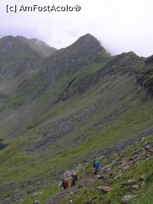 [P21] Creasta Fagarasului-in saua Paltinului » foto by AZE
 - 
<span class="allrVoted glyphicon glyphicon-heart hidden" id="av823762"></span>
<a class="m-l-10 hidden" id="sv823762" onclick="voting_Foto_DelVot(,823762,2855)" role="button">șterge vot <span class="glyphicon glyphicon-remove"></span></a>
<a id="v9823762" class=" c-red"  onclick="voting_Foto_SetVot(823762)" role="button"><span class="glyphicon glyphicon-heart-empty"></span> <b>LIKE</b> = Votează poza</a> <img class="hidden"  id="f823762W9" src="/imagini/loader.gif" border="0" /><span class="AjErrMes hidden" id="e823762ErM"></span>