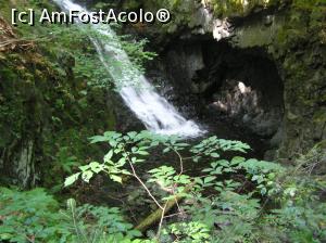 [P53] In drum spre Cascada Moasei » foto by AZE
 - 
<span class="allrVoted glyphicon glyphicon-heart hidden" id="av823800"></span>
<a class="m-l-10 hidden" id="sv823800" onclick="voting_Foto_DelVot(,823800,2855)" role="button">șterge vot <span class="glyphicon glyphicon-remove"></span></a>
<a id="v9823800" class=" c-red"  onclick="voting_Foto_SetVot(823800)" role="button"><span class="glyphicon glyphicon-heart-empty"></span> <b>LIKE</b> = Votează poza</a> <img class="hidden"  id="f823800W9" src="/imagini/loader.gif" border="0" /><span class="AjErrMes hidden" id="e823800ErM"></span>
