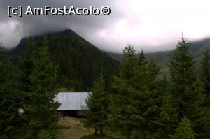 [P65] Cabana veche (dar functionala) Negoiu » foto by AZE
 - 
<span class="allrVoted glyphicon glyphicon-heart hidden" id="av823814"></span>
<a class="m-l-10 hidden" id="sv823814" onclick="voting_Foto_DelVot(,823814,2855)" role="button">șterge vot <span class="glyphicon glyphicon-remove"></span></a>
<a id="v9823814" class=" c-red"  onclick="voting_Foto_SetVot(823814)" role="button"><span class="glyphicon glyphicon-heart-empty"></span> <b>LIKE</b> = Votează poza</a> <img class="hidden"  id="f823814W9" src="/imagini/loader.gif" border="0" /><span class="AjErrMes hidden" id="e823814ErM"></span>