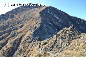 [P34] Traseu Făgăraș » foto by AZE
 - 
<span class="allrVoted glyphicon glyphicon-heart hidden" id="av1119212"></span>
<a class="m-l-10 hidden" id="sv1119212" onclick="voting_Foto_DelVot(,1119212,2855)" role="button">șterge vot <span class="glyphicon glyphicon-remove"></span></a>
<a id="v91119212" class=" c-red"  onclick="voting_Foto_SetVot(1119212)" role="button"><span class="glyphicon glyphicon-heart-empty"></span> <b>LIKE</b> = Votează poza</a> <img class="hidden"  id="f1119212W9" src="/imagini/loader.gif" border="0" /><span class="AjErrMes hidden" id="e1119212ErM"></span>