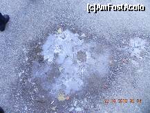 [P03] Brrr, e frig, totusi! » foto by trandafir 1970*
 - 
<span class="allrVoted glyphicon glyphicon-heart hidden" id="av168651"></span>
<a class="m-l-10 hidden" id="sv168651" onclick="voting_Foto_DelVot(,168651,2855)" role="button">șterge vot <span class="glyphicon glyphicon-remove"></span></a>
<a id="v9168651" class=" c-red"  onclick="voting_Foto_SetVot(168651)" role="button"><span class="glyphicon glyphicon-heart-empty"></span> <b>LIKE</b> = Votează poza</a> <img class="hidden"  id="f168651W9" src="/imagini/loader.gif" border="0" /><span class="AjErrMes hidden" id="e168651ErM"></span>
