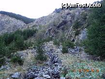 [P07] Sus se afla Transfagarasnul- priviti rocile, aduse de ploi sau de avalanse, cine stie... » foto by trandafir 1970*
 - 
<span class="allrVoted glyphicon glyphicon-heart hidden" id="av168673"></span>
<a class="m-l-10 hidden" id="sv168673" onclick="voting_Foto_DelVot(,168673,2855)" role="button">șterge vot <span class="glyphicon glyphicon-remove"></span></a>
<a id="v9168673" class=" c-red"  onclick="voting_Foto_SetVot(168673)" role="button"><span class="glyphicon glyphicon-heart-empty"></span> <b>LIKE</b> = Votează poza</a> <img class="hidden"  id="f168673W9" src="/imagini/loader.gif" border="0" /><span class="AjErrMes hidden" id="e168673ErM"></span>